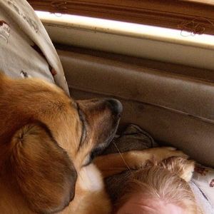 Meet your Posher, Krysta